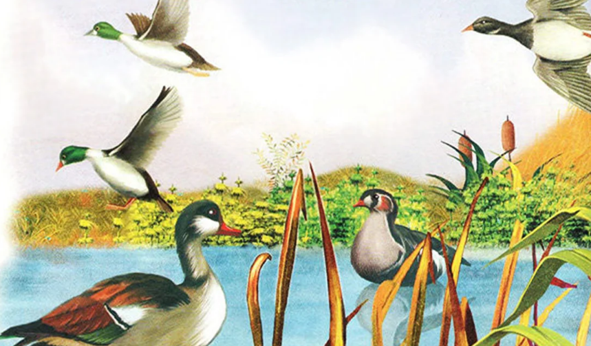 Screenshot 2025-11-23 201801